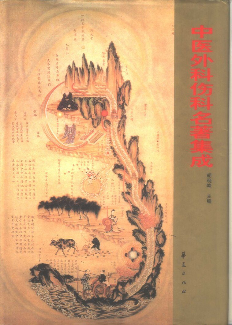 中医外科伤科名著集成 封面