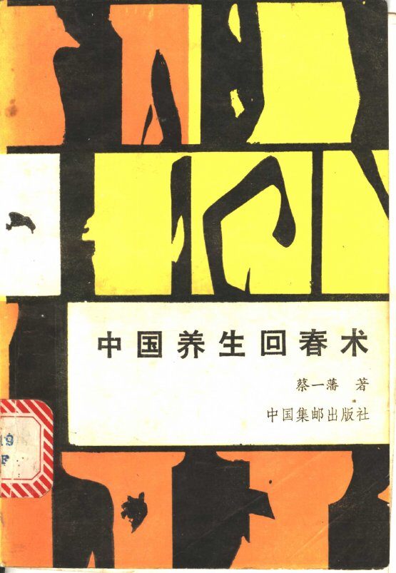 中国养生回春术 封面