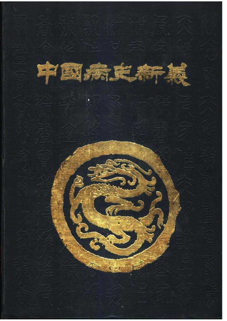 中国病史新义 封面