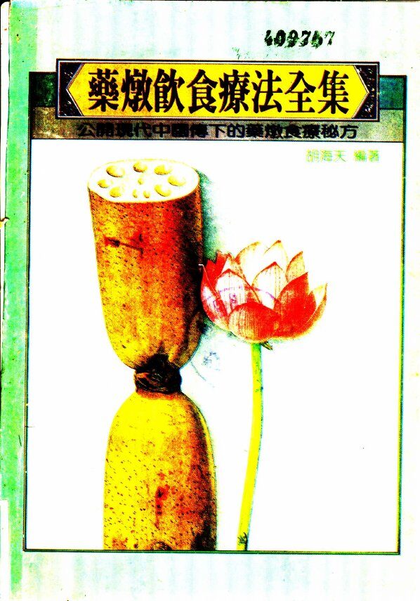 药炖饮食疗法全集 封面