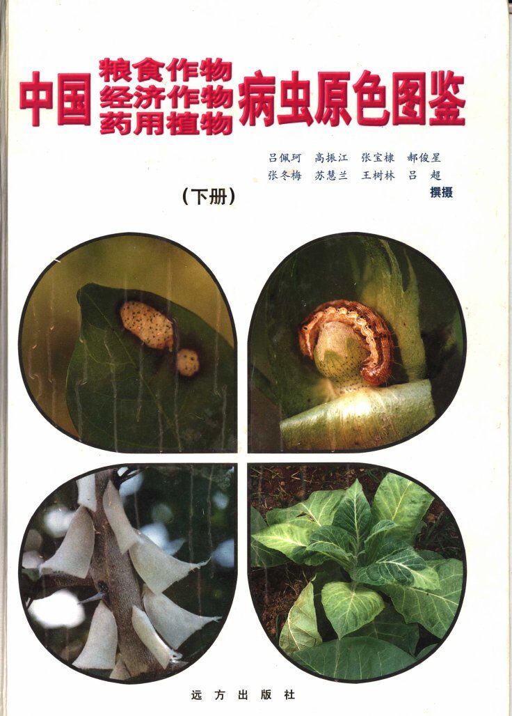 中国粮食作物、经济作物、药用植物病虫原色图鉴  下 封面