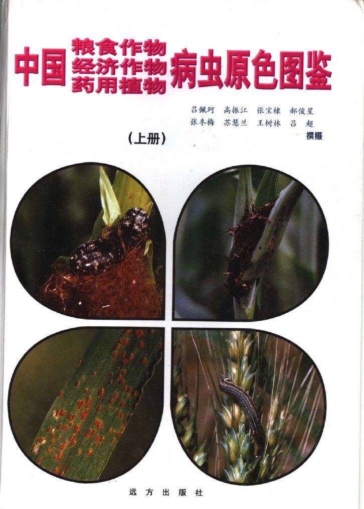 中国粮食作物、经济作物、药用植物病虫原色图鉴  中国粮食作物病虫原色图鉴 封面