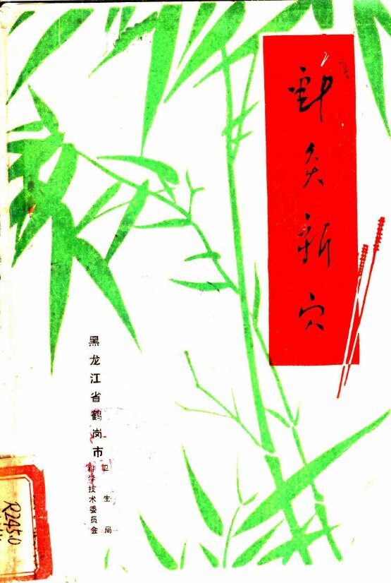 针灸新穴 封面