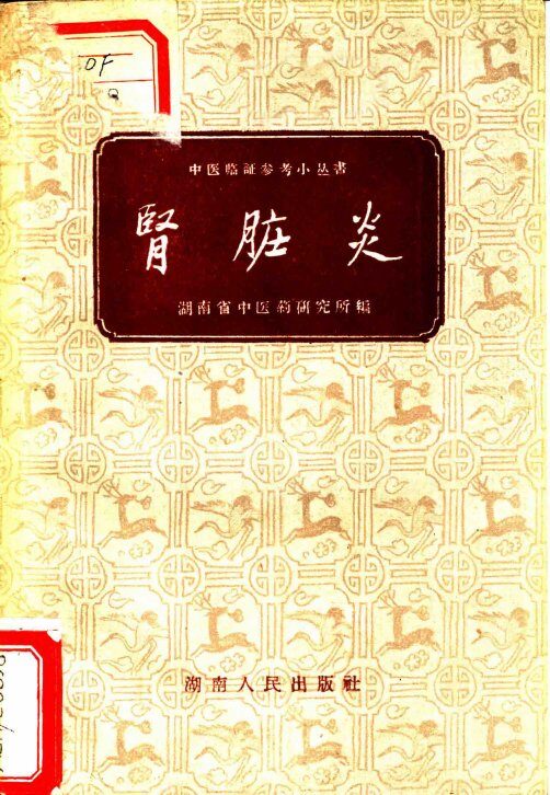 肾脏炎 封面