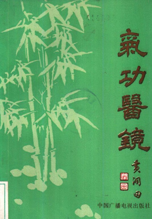 气功医镜 封面