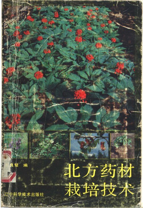 北方药材栽培技术 封面