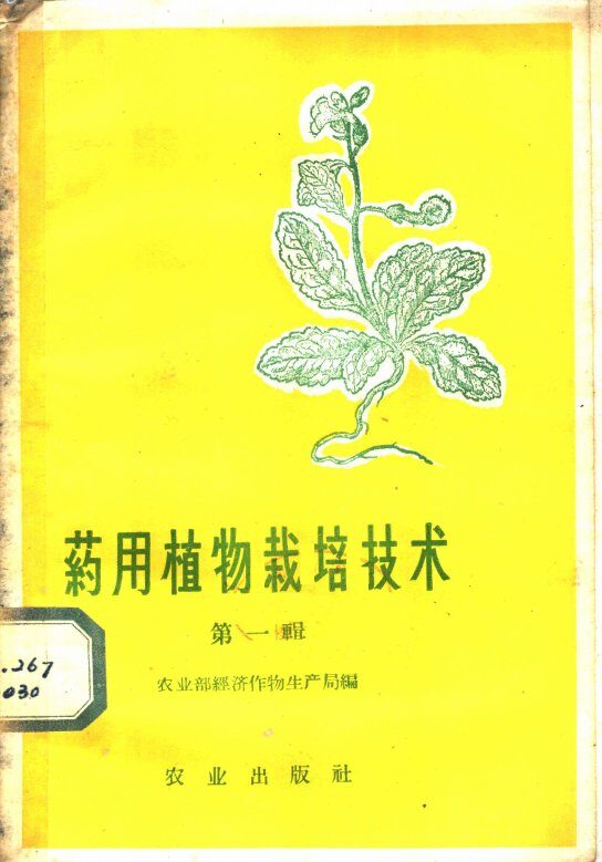 药用植物栽培技术 封面