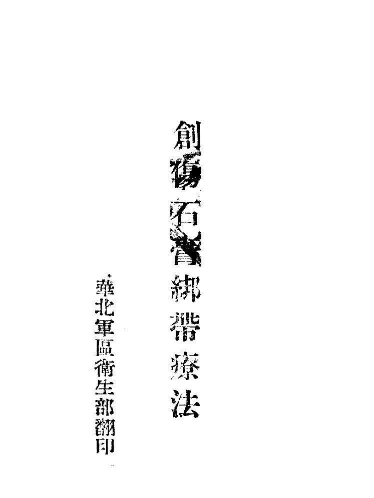 创伤石膏绑带疗法 封面