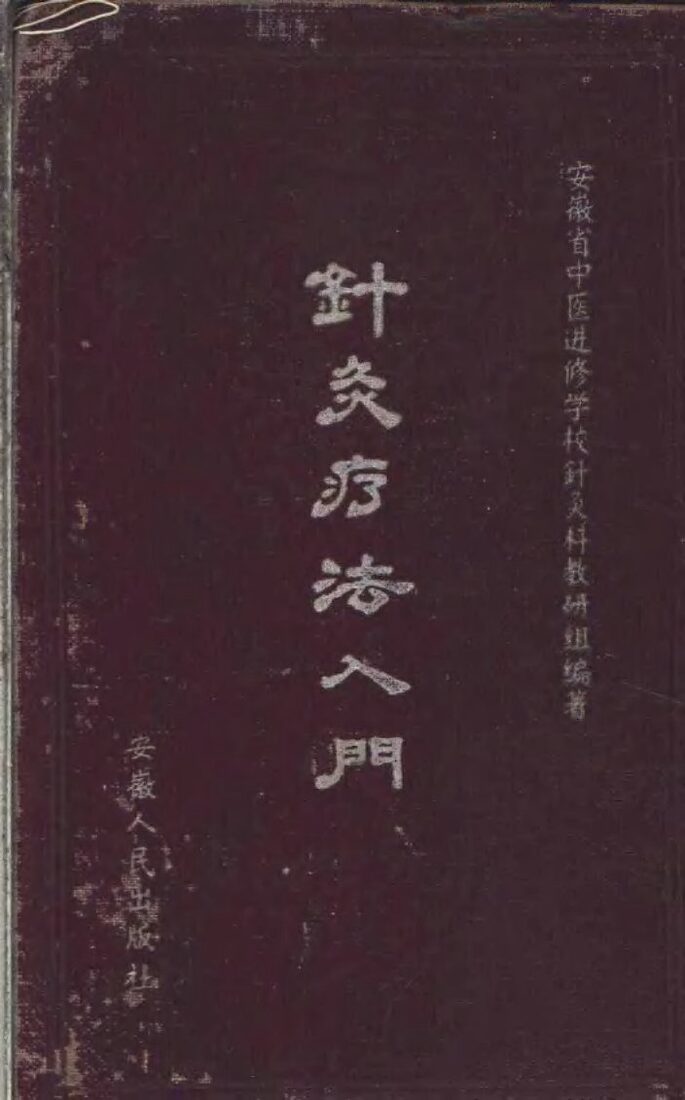 针灸疗法入门 封面