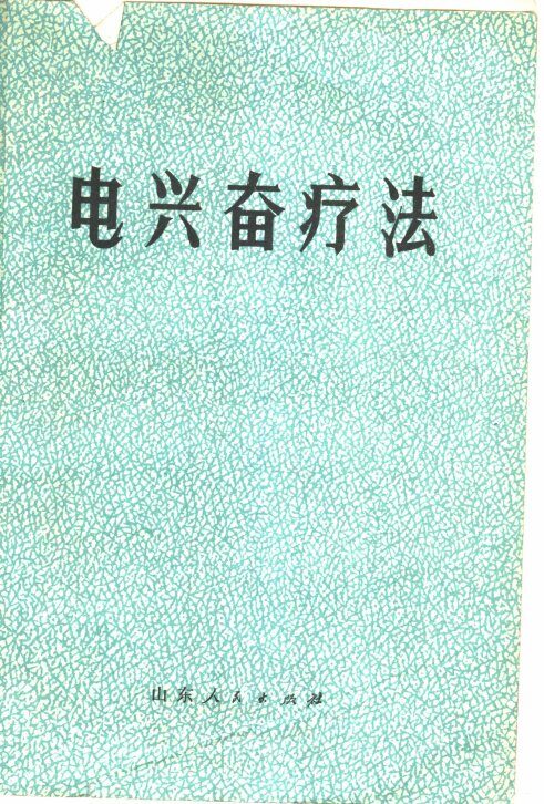 电兴奋疗法 封面