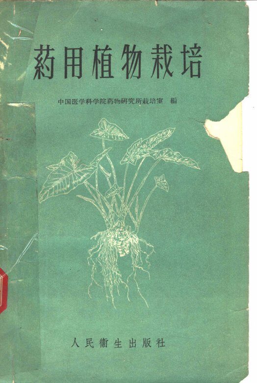 药用植物栽培 封面