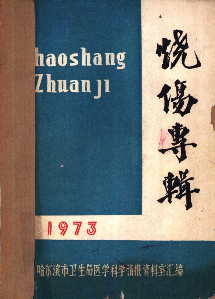 烧伤专辑 封面