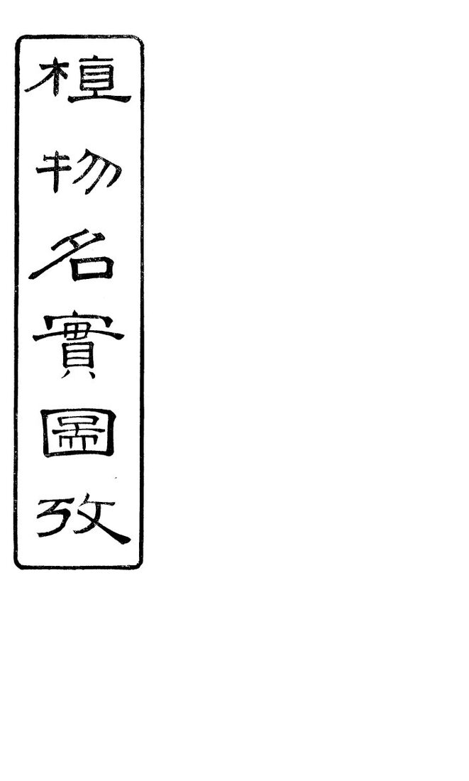 植物名实图考长编 卷之四 封面