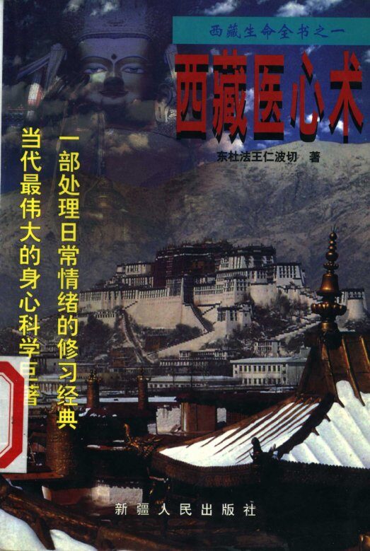 西藏医心术 封面