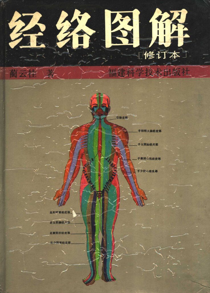 经络图解 封面