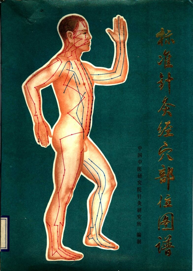 标准针灸经穴部位图谱 封面