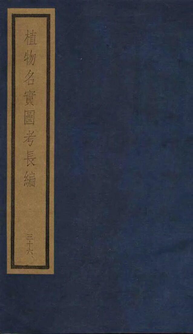 植物名实图考长编  36 封面