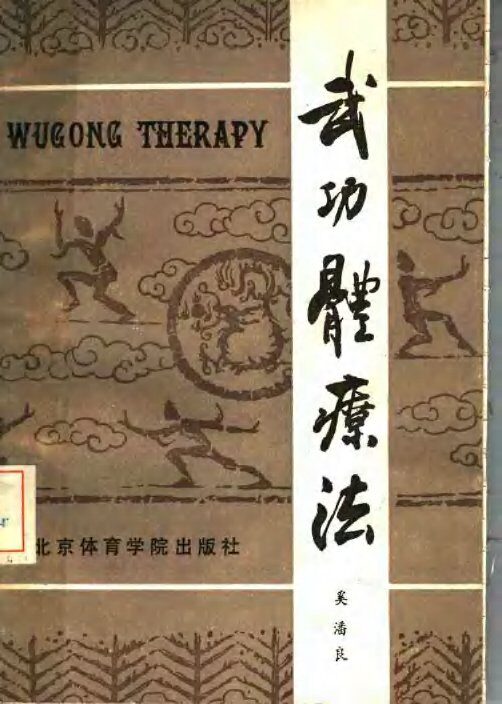 武功体疗法 封面