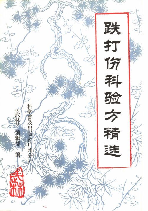 跌打伤科验方精选 封面