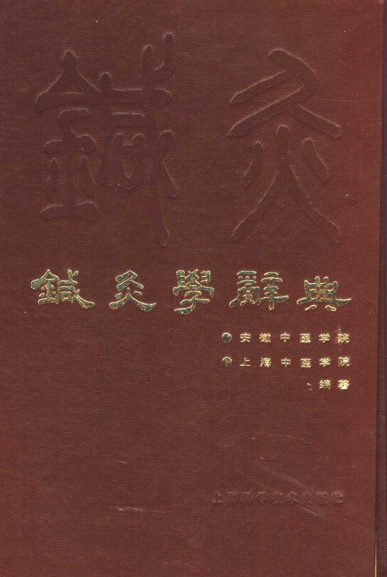 针灸学辞典 封面