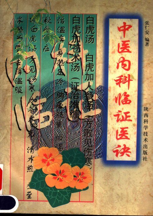 中医内科临证医诀 封面