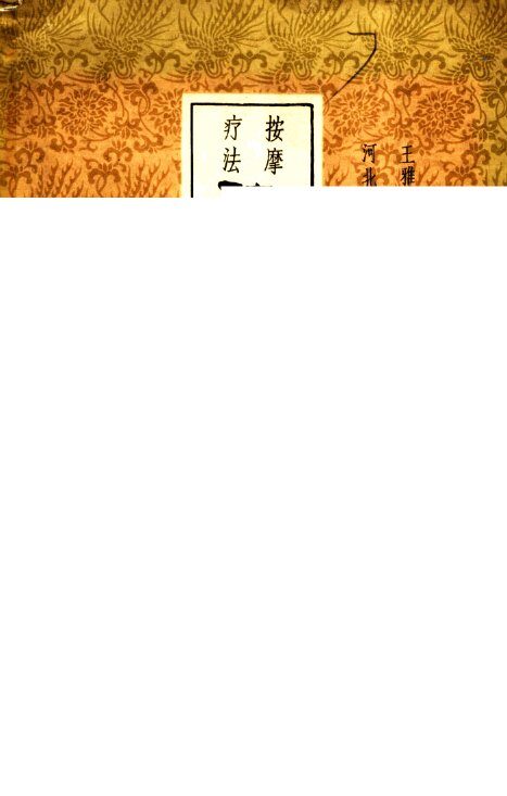 脏腑图点穴法  按摩疗法 封面