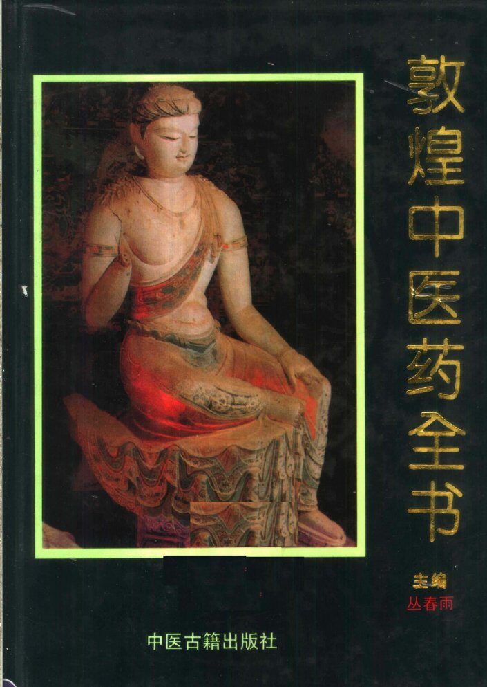 敦煌中医药全书 封面