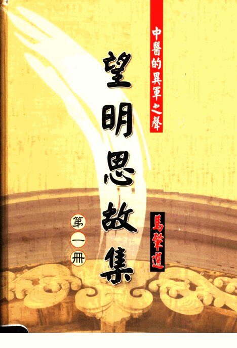 望明思故集 封面
