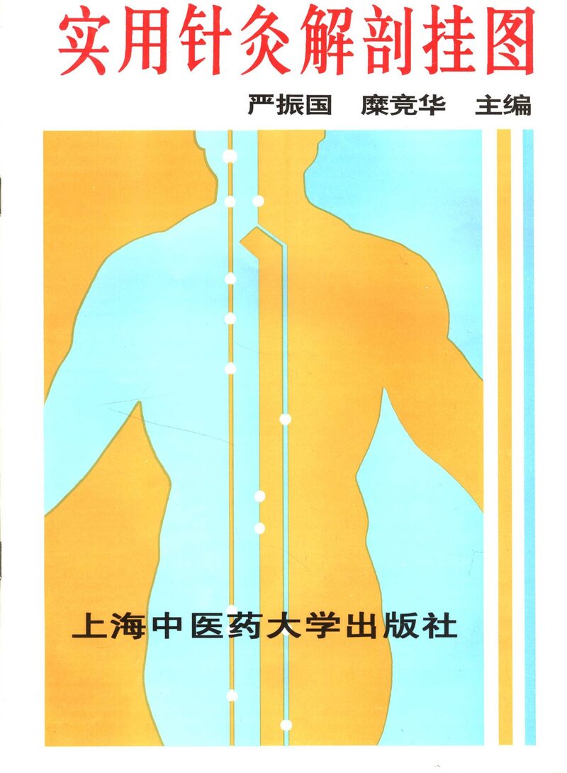 实用针灸解剖挂图 封面