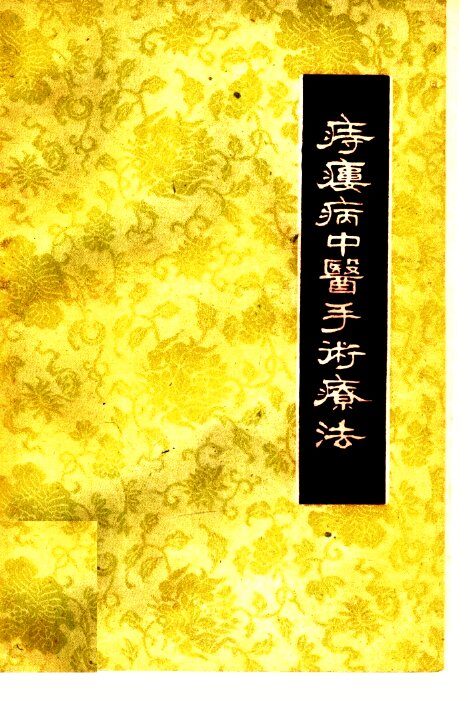 痔瘘病中医手术疗法 封面