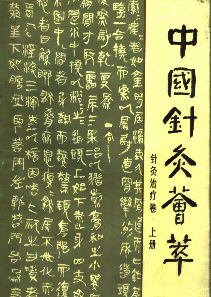 中国针灸荟萃  针灸治疗卷  上 封面