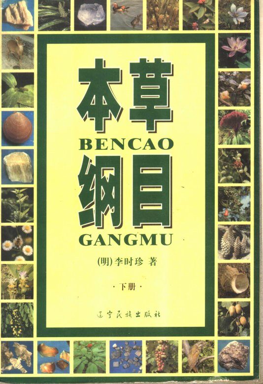 本草纲目  下 封面