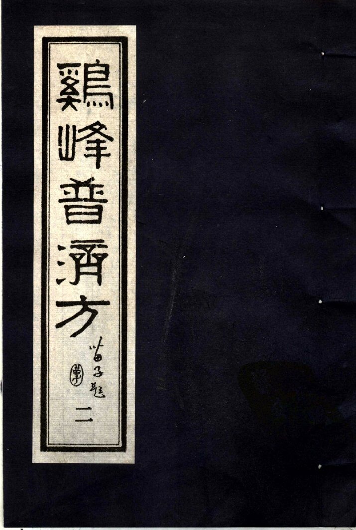鸡峰普济方  2 封面