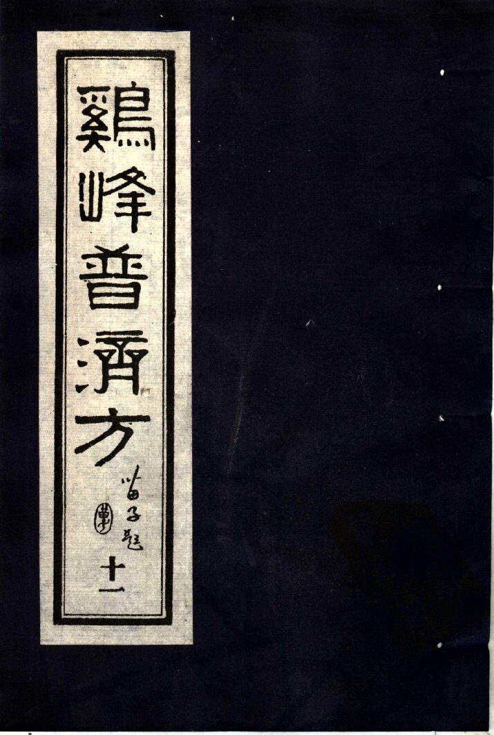 鸡峰普济方  11 封面