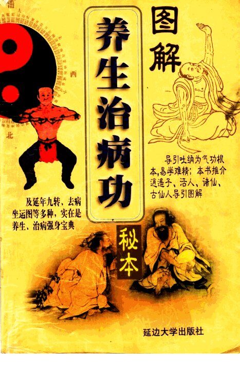 秘本图解养生治病功 封面