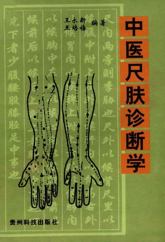 中医尺肤诊断学 封面
