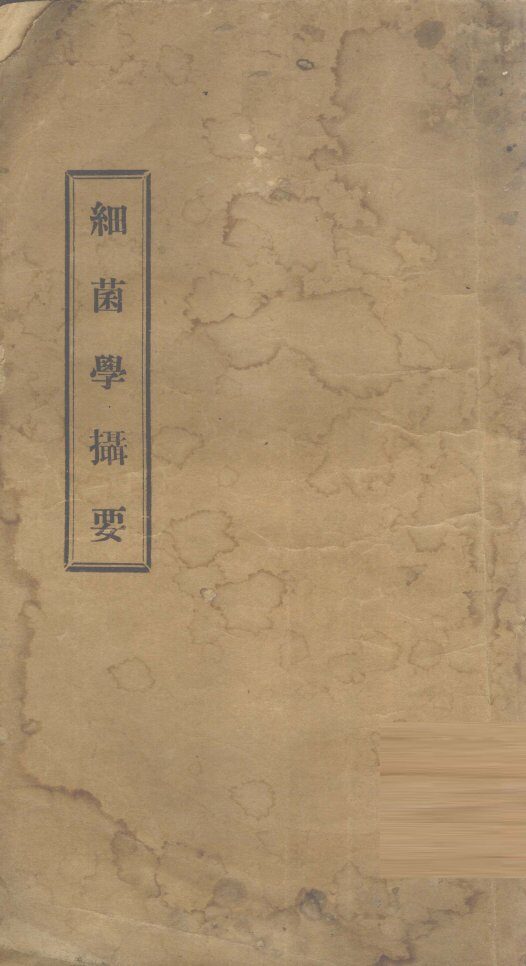 细菌摄要 封面