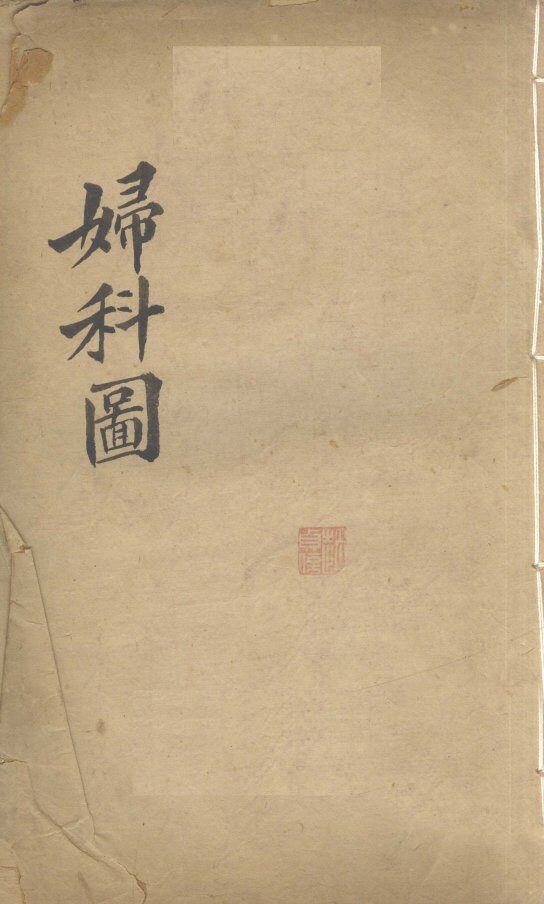 妇科图 封面