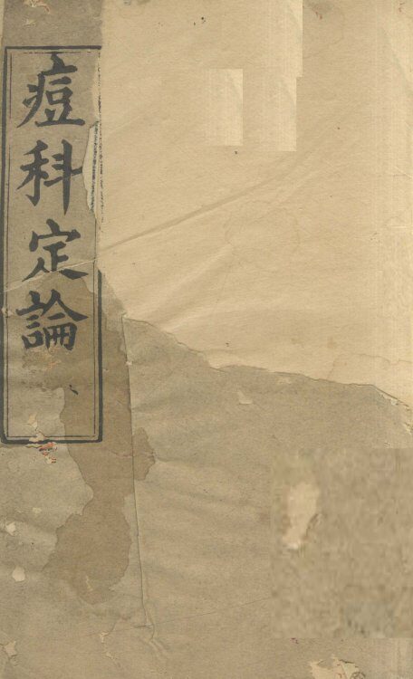 痘科定论 封面