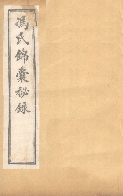 冯氏锦囊秘录杂症大小合参  卷1、卷2 封面