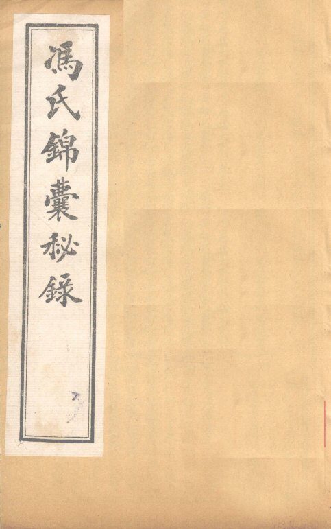 冯氏锦囊秘录杂症大小合参  卷3、卷4 封面