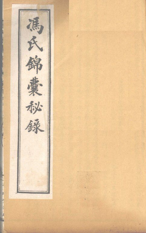冯氏锦囊秘录杂症大小合参  卷9、卷10 封面
