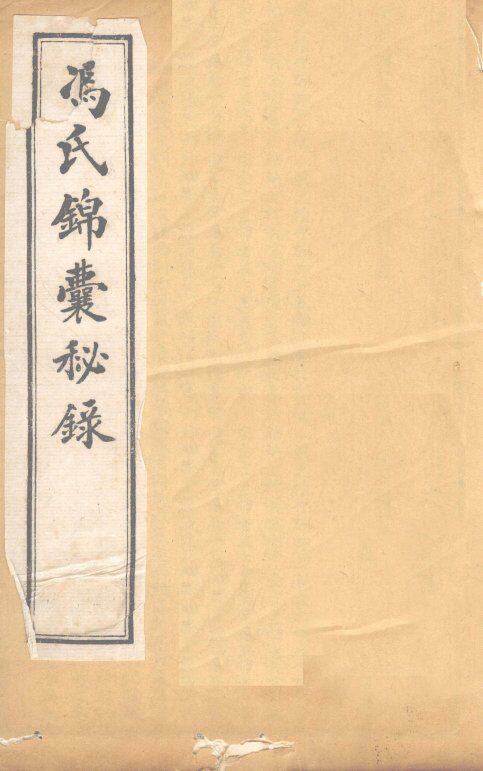 冯氏锦囊秘录杂症大小合参  卷11 封面