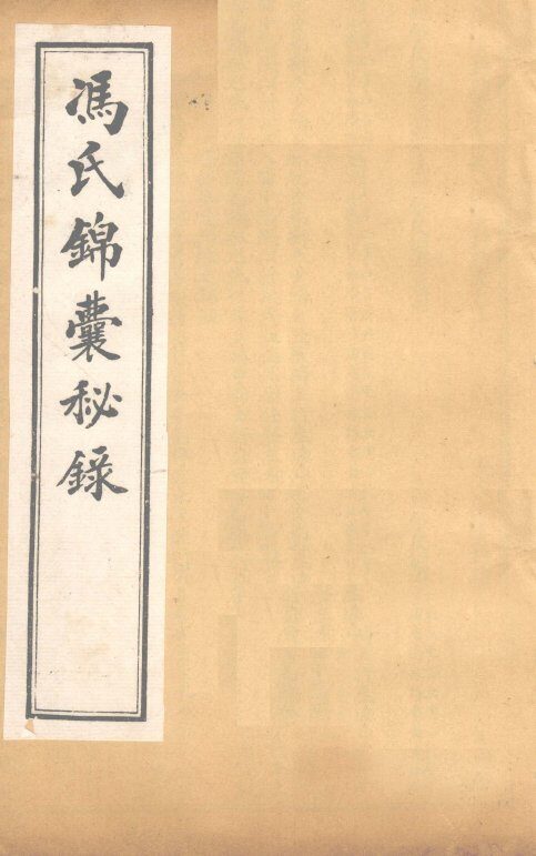 冯氏锦囊秘录杂症大小合参  卷16、卷17 封面