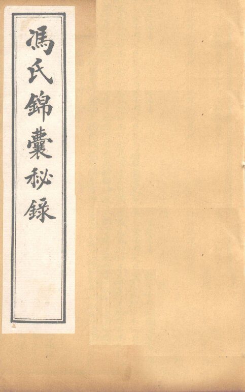 冯氏锦囊秘录杂症大小合参  卷18、卷19 封面