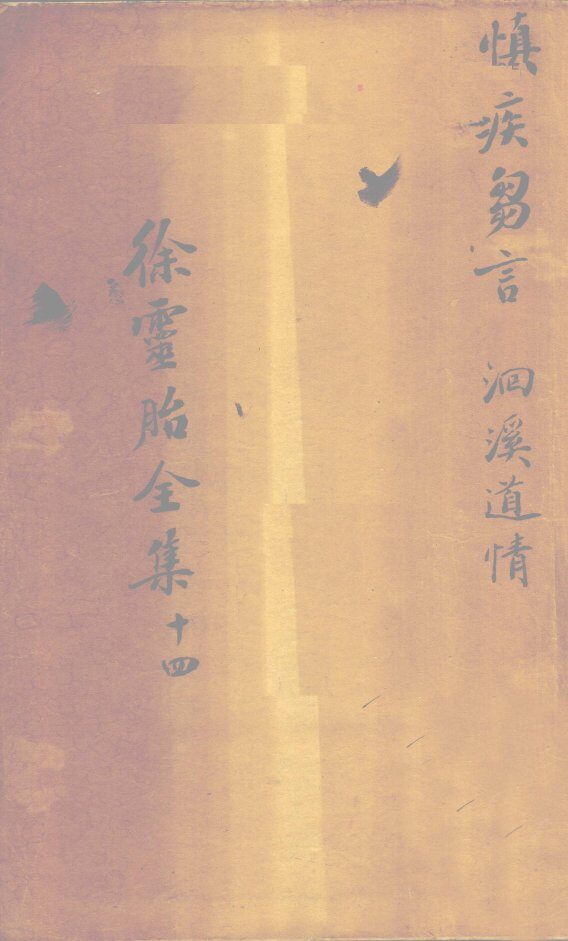 慎疾刍言 封面