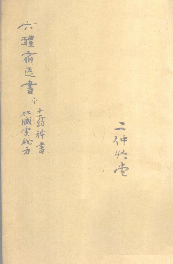 十种神医 封面