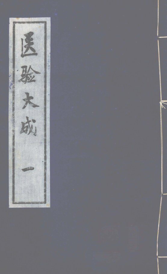 医验大成  1 封面