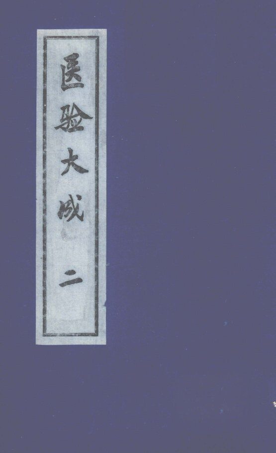 医验大成  2 封面