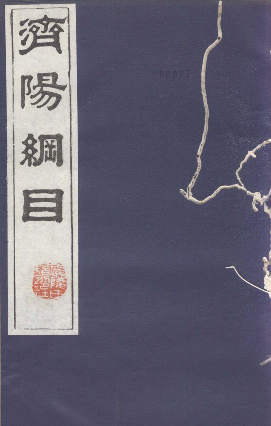 济阳纲目  卷13-21 封面